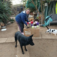 photo de livraison pour Chats Libres de Béziers