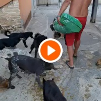 photo de livraison pour ПРИХВАТИЛИШТЕ ДРАЖЕВАЦ
