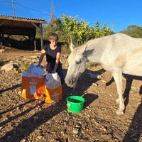photo de livraison pour La Retraite des Chevaux des Causses