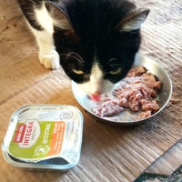 photo de livraison pour Ecole du Chat Libre de Caillerot