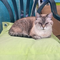 photo de livraison pour L'Arche de Tika