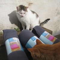 photo de livraison pour Jardin des Chats