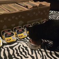 photo de livraison pour Amis de Myrtille