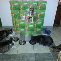 photo de livraison pour Aide Aux Chats