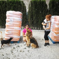 photo de livraison pour Protectors Animal El Hocico
