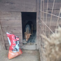 photo de livraison pour Samira Gagula