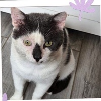 photo de livraison pour CAPPA