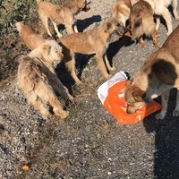 photo de livraison pour Anca Timpeanu