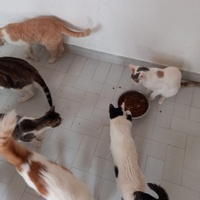 photo de livraison pour Ghita Muller El Jirari
