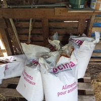 photo de livraison pour Chats errants du val du crenu