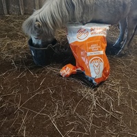 photo de livraison pour Happy Horse Day