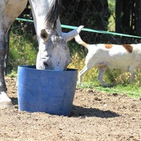 photo de livraison pour Faun'Ethic