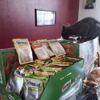 photo de livraison pour Vos Pattes entre nos Coeurs