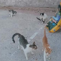 photo de livraison pour ADAN Essaouira