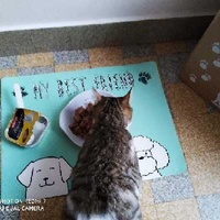 photo de livraison pour Les Chats Libres Condom 32