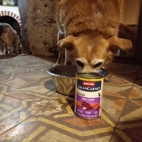 photo de livraison pour AVRAH