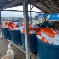photo de livraison pour Animal Shields Oradea