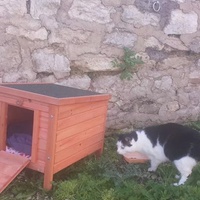 photo de livraison pour Ecole du Chat d’Arbois