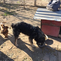 photo de livraison pour Azil Bella