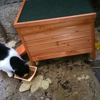 photo de livraison pour Ecole du Chat d’Arbois