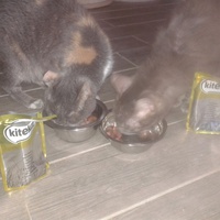 photo de livraison pour Arche de Véra