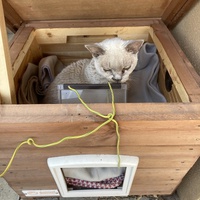 photo de livraison pour Ecole du Chat des Alpilles