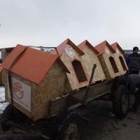 photo de livraison pour Animal Shields Oradea