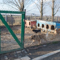 photo de livraison pour Azil Bella