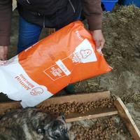 photo de livraison pour Mariuta