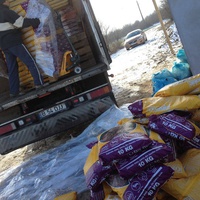 photo de livraison pour Alina & Anda