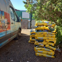 photo de livraison pour Comme Chiens et Chats Maroc
