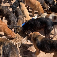 photo de livraison pour ADAN