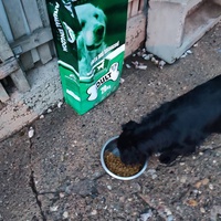 photo de livraison pour Ivana Nikolić