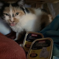 photo de livraison pour Cosette