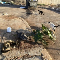 photo de livraison pour Kawthar Maree