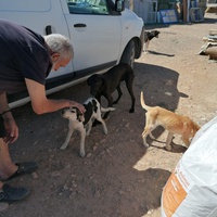 photo de livraison pour ADAN Essaouira