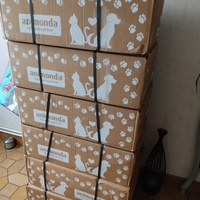 photo de livraison pour Les chats de l'Indifférence