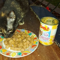 photo de livraison pour Samantha Réaux