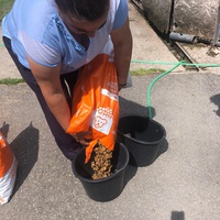 photo de livraison pour Nicoleta Stefanescu