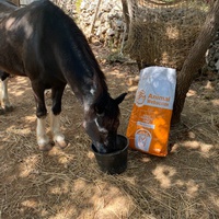 photo de livraison pour Equi-Vivre