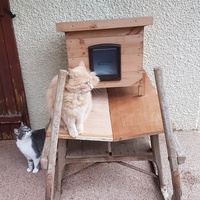 photo de livraison pour Chat de Gout'hier sans Toit