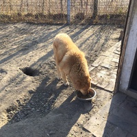 photo de livraison pour Azil Bella