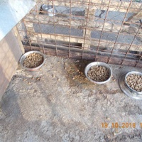 photo de livraison pour Pro Animals Finland ry