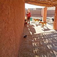 photo de livraison pour Fondation Helga Heidrich SOS Animaux