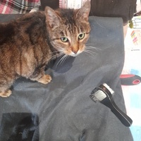 photo de livraison pour La Bleue