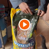 photo de livraison pour Le Coeur sur la Patte