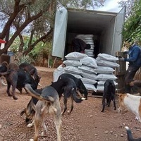 photo de livraison pour Help Adopt Moroccan Animals