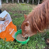 photo de livraison pour La Retraite des Chevaux des Causses
