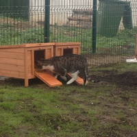 photo de livraison pour Les Petits Pachats