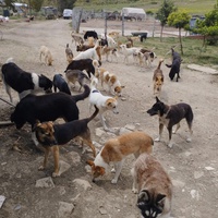 photo de livraison pour Sanctuaire de la Faune de Tanger (SFT)